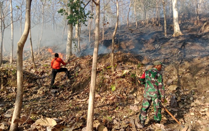 Sinergi TNI, Polri dan Unsur Terkait Atasi Kebakaran Hutan di Wilayah Ponorogo