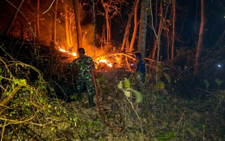 Kebakaran lahan tebu di Kecamatan Wonoasri