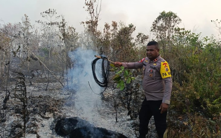 Penanganan Karhutla Hari Ke-enam, Brimob Kembali Turun di Biak 
