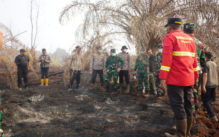 Tinjau Karhutla di Siak, Pangdam XIX/TT dan Kapolda Riau Pastikan Penanganan Berlanjut