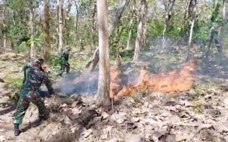 Gerak Cepat TNI, Perhutani dan Warga Padamkan Karhutla di Ngepoh, Api Berhasil Dikendalikan