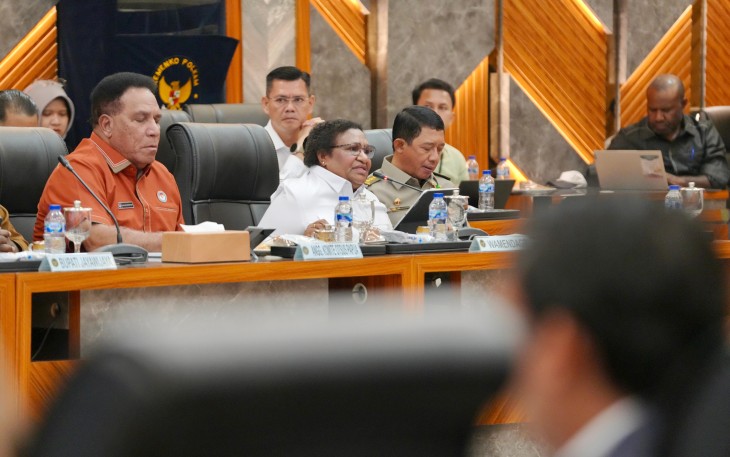 Wakil Menteri Dalam Negeri (Wamendagri) Ribka Haluk