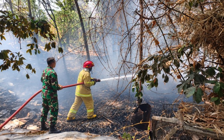 Babinsa dan Damkar Gerak Cepat Padamkan Kebakaran Lahan Jati di Dolopo