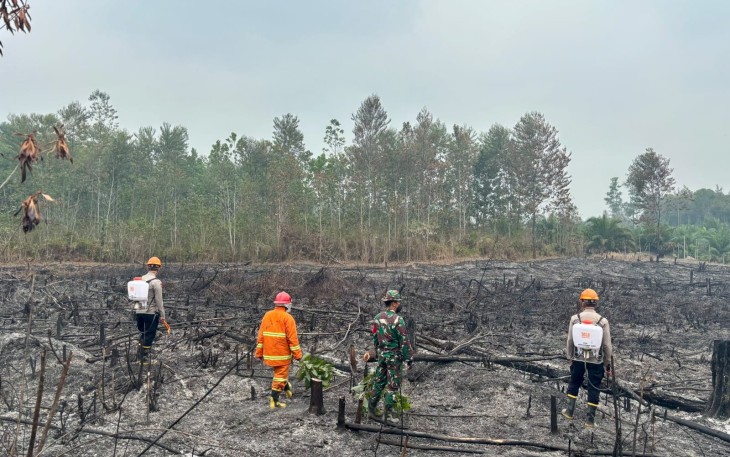 Penanganan Karhutla di Wilayah Kalbar Terus Membaik, Titik Api Turun
