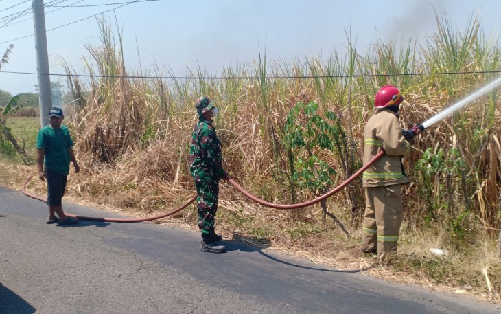 Babinsa dan Warga Berjibaku Padamkan Kebakaran Kebun Tebu di Sambirejo