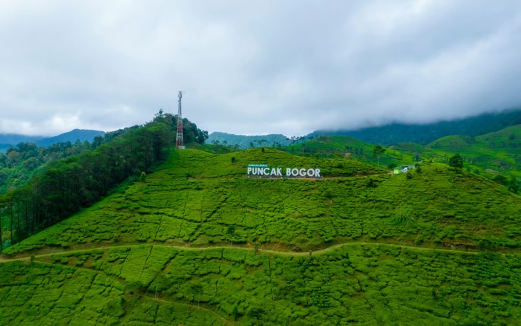 Mengurai Kemacetan Akhir Pekan: Mengapa Rancamaya Menjadi Alternatif Rasional Puncak bagi Warga Jabodetabek