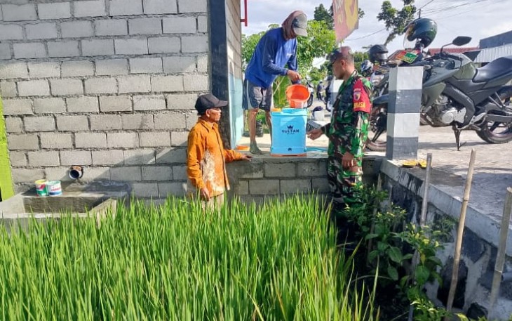 Babinsa Turun ke Sawah