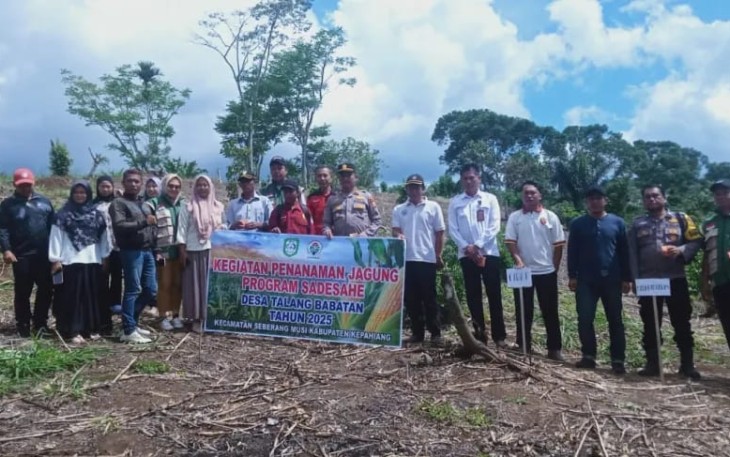 Pemdes Talang Babatan Tanam Jagung
