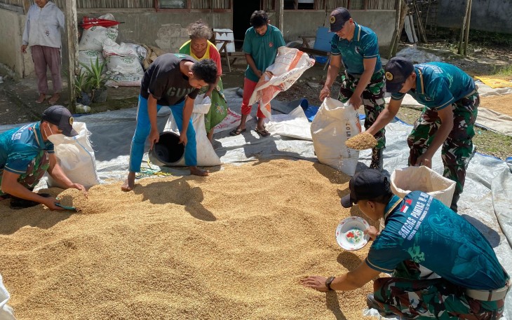 Yonarmed 12 Kostrad Sukseskan Pengelolaan Hasil Panen di Belu