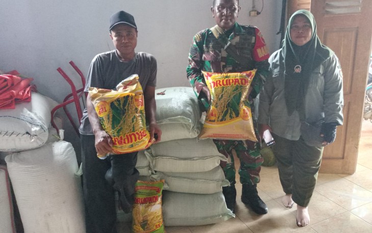Babinsa Kodim Ponorogo Pendampingan Penyaluran Bantuan Benih Padi 