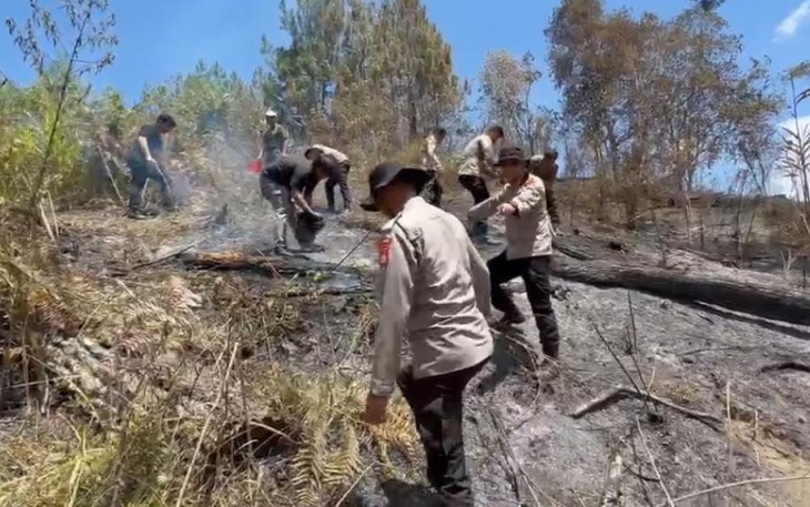 Petugas gabungan berjibaku memadamkan kebakaran hutan dan lahan (Karhutla) yang menghanguskan sekitar lima hektare lahan di Dusun Pasir Putih, Desa Rantekamase, Kecamatan Sumarorong, Mamasa, Kamis (3/9/2026).