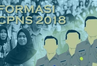 Formasi CPNS (Ilustrasi.net)