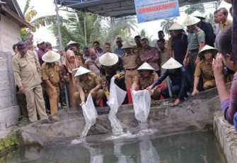 Penebaran benih ikan