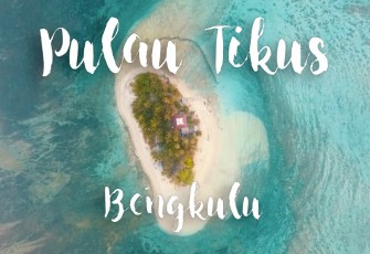 Pulau Tikus