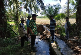 Ditjen Kementan bersama rombongan saat meninjau irigasi rusak di Bengkulu Tengah