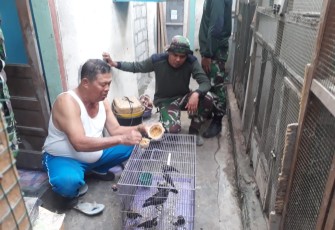Harsono Warga Penangkar Burung Jalak 