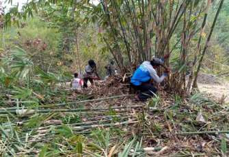 Warga Dusun Beber Tebang Bambu untuk Pembuatan Gubug di Lokasi Wisata Pemancingan
