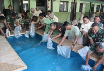 Pelepasan ikan terapi di kolam baru 