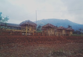 Wisata Sawah Batu Bukateja