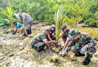 Personel Kodim 0115/Simeulue saat sedang menanam bibit kelapa