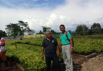 Bibit Pohon Bantuan 