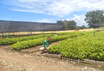 UPTD BPDAS dan HL Kaur 