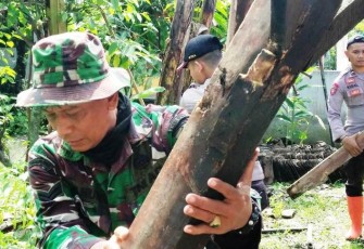 Satgas TMMD Reguler Pekalongan Super Hati-Hati Bongkar Rangka Kayu RTLH Yang Lapuk