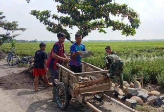 Anak-Anak Pantirejo Nekad Bantu Satgas TMMD Pekalongan