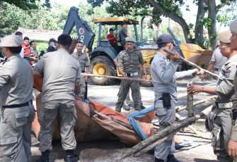 Penertipan Pedagang Kaki Lima Ilegal Diwilayah Pantai Panjang Bengkulu 