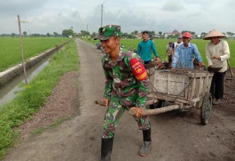 Akses Pertanian Diperbaiki Babinsa Bersama Warga Cawas
