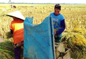 petani di Desa Pantirejo
