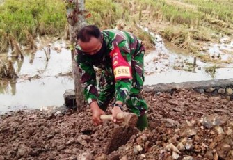 Komandan SSK Satgas TMMD Reguler Pekalongan Terus Pacu Anggotanya dan Masyarakat
