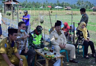 Bupati Rejang Lebong Ahmad Hijazi Melakukan Vidio Conference Dengan Menteri Pertanian Republik Indonesia Syahrul Yasin Limpo Dilokasi Persawahan 
