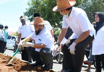 Wali Kota Bengkulu Helmi Hasan Ikut Tanam Serai di Median Jalan 