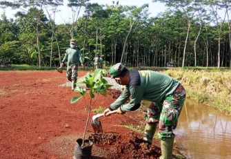 Upaya Ciptakan Kenangan Satgas TMMD Reguler Pekalongan Tanam Pohon Produktif