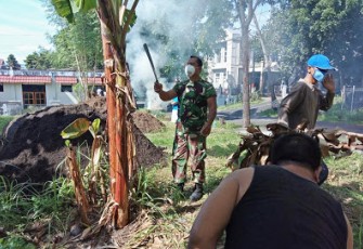 Upaya Babinsa dan Warga Binaan Menciptakan Kemandirian Pangan