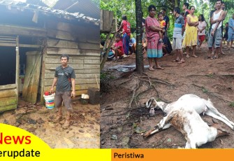 Kondisi rumah dan 2 ekor kambing yang tewas akibat disambar petir