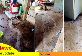 Diduga Bekas Sambaran Petir (Lichtenberg)