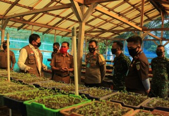 Bupati Bengkulu Utara Mian Saat Meninjau Bibit Sayur 