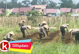 Aksi 3 Polres Jajaran Polda Bengkulu Ciptakan Ketahanan Pangan di Tengah Covid-19
