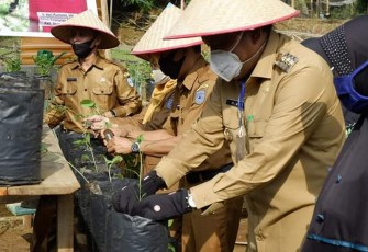 Bupati Bengkulu Utara Mian Tanam Bibit Sayur Secara Simbolis 