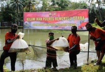 Polres Bengkulu Utara Polda Bengkulu Lepas 12.000 Bibit Ikan