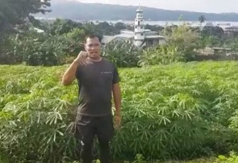 Dandim Bitung Tinjau Hanpangan Kebun Singkong