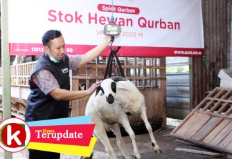 PPPA Daarul Qur’an Ajak Masyarakat Berqurban di Tengah Pandemi