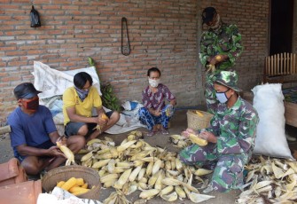 Satgas TMMD 108 Tulungagung Bantu Warga Ngepoh Kupas Jagung