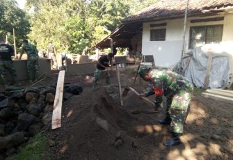 TMMD
