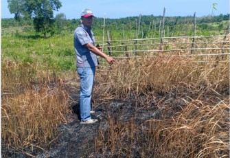 Polres Seluma Polda Bengkulu Temukan Lahan Terbakar di Desa Lunjul