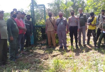 Polisi Bersama BKSDA Pasang Perangkap Buru Harimau