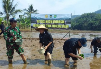 Purwakarta terus bergerak tanam