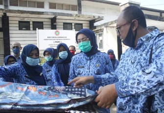 Bupati Purwakarta Anne Ratna Mustika (Foto:IIK/klikwarta)
